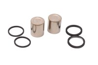 Brake caliper piston seal set repair kit Triumph Daytona...