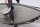 Varselljusindikatorlampa W5W 12V 5W klart glas Triumph Daytona 955 i 00-00
