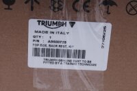 Sissybar ryggstödskudde skruvar sitsbänk Triumph Tiger 900 C701 20-21