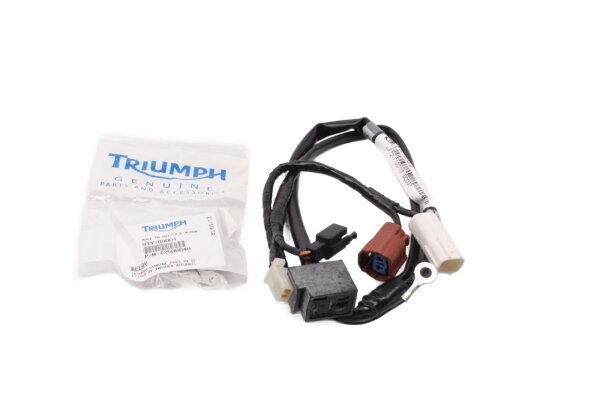 Relay wiring harness connection adapter plug electrical circuit Triumph universell