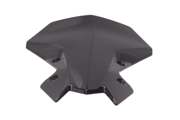 Windscreen, windshield, speedometer cover, large screen Kawasaki Z 900 R 24-24
