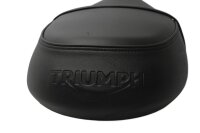 Seat, drivers seat, passenger seat, straps, black Triumph...