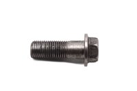 Swing axle screw axle mounting Triumph Sprint ST1050...