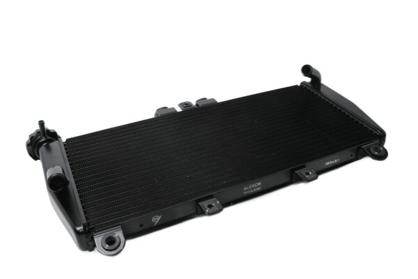 Vattenkylare, kylare, motorkylning 290451 Triumph Speed Triple 1050 515NJ 05-07
