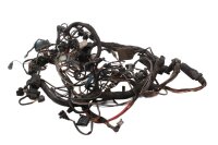 cablaggio, cablaggio principale, fusibile, connettore,...