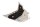 Seitendeckel Verkleidung links Racingaufkleber Luftauslass Ducati 848 848 10-10