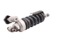 Rear strut, shock absorber, rebound damping, hydraulic...