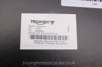 LED-richtingaanwijzers (kogelvormig) 40 mm links en rechts, dagrijverlichting Triumph Bonneville 900 T100 17-17