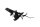 License plate holder, license plate light Yamaha YZF R7 Euro 5 RM39/RM40 22-25
