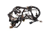 Kabelboom, hoofdkabelboom, ontsteking, elektrisch systeem...
