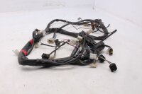 Main wiring harness, electrical system, ignition, connectors Aprilia RST 1000 Futura PW 01-04