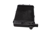 Radiatore, refrigeratore dacqua (sinistra), dissipatore di calore, raffreddamento Aprilia RST 1000 Futura PW 01-04