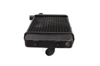 Radiatore, refrigeratore dacqua (sinistra), dissipatore di calore, raffreddamento Aprilia RST 1000 Futura PW 01-04
