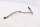 Oil line, radiator line, left oil circuit BMW R 1100 R 259 0407 95-01