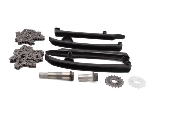 Kit de cadena de distribución, tensor de cadena de distribución, tensor de cadena BMW R 1100 R 259 0407 95-01