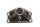 Ponte forcella, supporto forcella, guida forcellone (superiore) BMW BMW R 1100 RT 259 0413 96-01