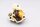 Oliepomp aandrijfrotor smering hydraulische pomp Triumph Thunderbird 1600 16-16