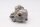 Oliepomp aandrijfrotor smering hydraulische pomp Triumph Thunderbird 1600 16-16
