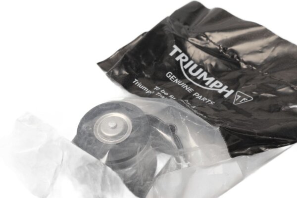 Kylarlock Triumph Speed Triple 1050 RS 20-20