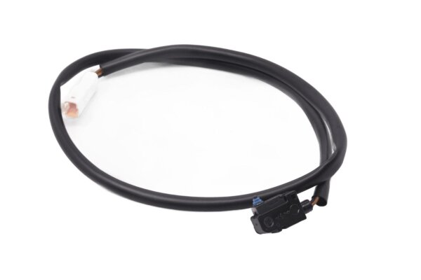 contacteur de feu stop avant, câble électrique Triumph Speed Twin 1200 19-19