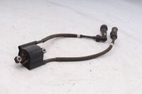Tændspole, dobbelt tændspole, tændkabler NGK Yamaha XJR 1300 RP02 99-01