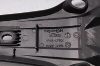 Soporte de matrícula, reflector, guardabarros, conversión trasera Triumph Speed Twin 1200 23-23