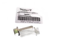 Passenger grab handle, rear right, black Triumph Tiger...