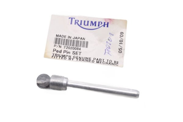 Guía del pasador de la pinza del freno trasero Guía de la pastilla de freno Triumph Scrambler 865 EFI 12-12