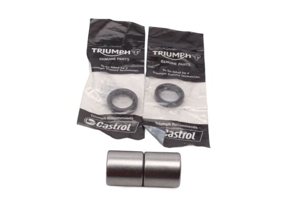 Nadellager Schwingenlager Satz Staubdichtung Triumph Tiger 1050 115NG 07-12