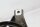 Kraftstofftankring Tankgeberaufnahme BMW K 1200 R Sport K12R K43HV 0585 07-08