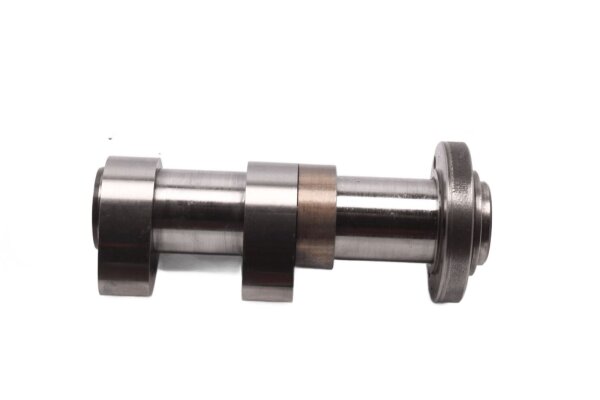 Nockenwelle hinten Antrieb Steuerung Aprilia RST 1000 Futura PW 01-04