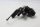 Federbein Stoßdämpfer BMW K 1200 R Sport K12R K43HV 0585 07-08