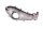 Tankafdekking, bovenste voorste kuipdeel, zilverkleurige lak BMW R 1100 S 259 0422 R2S 98-05