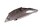 Bagpaneldæksel, øverst til højre BMW R 1100 S 259 0422 R2S 98-05