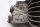 Cylinderforing, højre cylinder, køleribber BMW R 1100 S 259 0422 R2S 98-05
