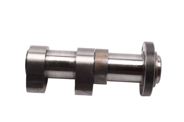 Nockenwelle hinten Ventilsteuerung Steuerwelle Aprilia RST 1000 Futura PW 01-04