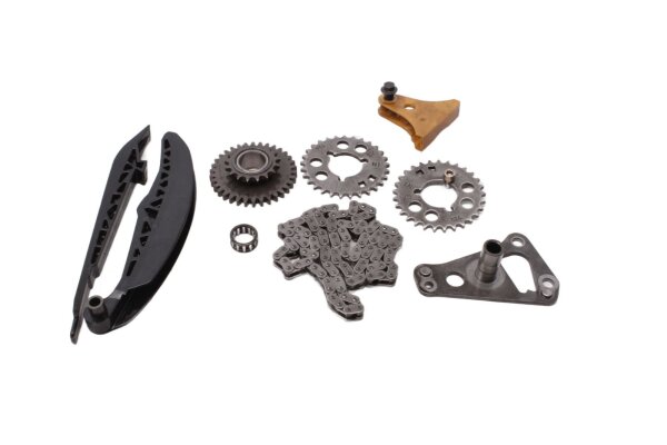 Kit catena di distribuzione, tendicatena, pignone, guida Aprilia RST 1000 Futura PW 01-04
