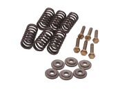 Clutch springs, screw set, pressure plate Aprilia RST...