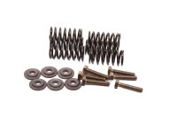 Clutch springs, screw set, pressure plate Aprilia RST...