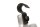 Bremsekaliberbeslag monteringsplade bremser Ducati Monster 600 ZDM600M 94-98