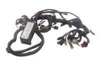 Kabelboom, hoofd elektrische bedradingsset Honda GL 1100 Goldwing SC02 80-83
