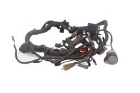 Kabelboom, hoofd elektrische bedradingsset Honda GL 1100 Goldwing SC02 80-83