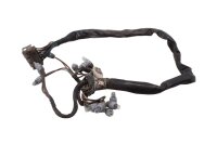Ledningsnet speedometerbelysning cockpitinstrument BMW R 1100 GS 259 0409 93-99
