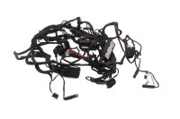 Faisceau de câbles, faisceau de câbles principal, système électrique, fusible BMW R 1200 R R1ST K27 0378 07-10