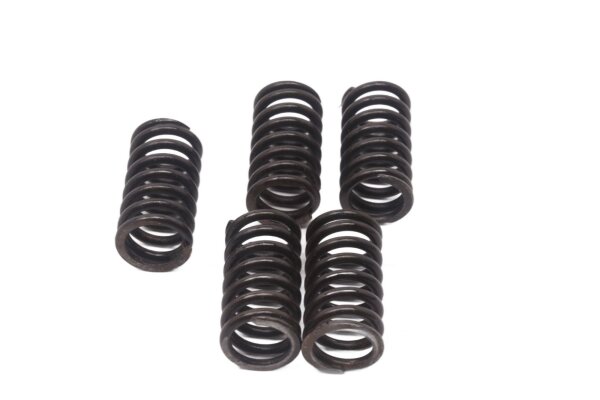 Clutch spring set, compression spring, clutch kit Honda GL 1100 Goldwing SC02 80-83