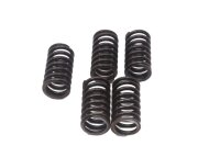 Clutch spring set, compression spring, clutch kit Honda GL 1100 Goldwing SC02 80-83