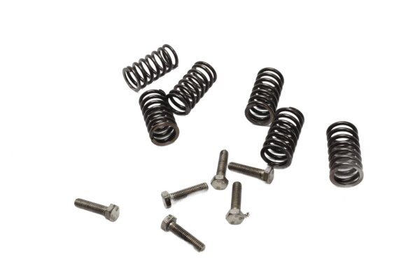Koblingsfjedre, skruer, trykpladesæt Ducati Monster 600 ZDM600M 94-98