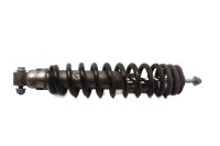 Ammortizzatore anteriore, puntone di tensione, sospensione, forcellone BMW R 1100 GS 259 0409 93-99