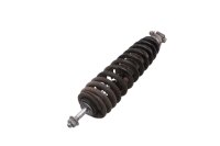 Ammortizzatore anteriore, puntone di tensione, sospensione, forcellone BMW R 1100 GS 259 0409 93-99
