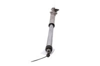 Left fork leg, stanchion mount, front axle BMW R 1100 GS 259 0409 93-99